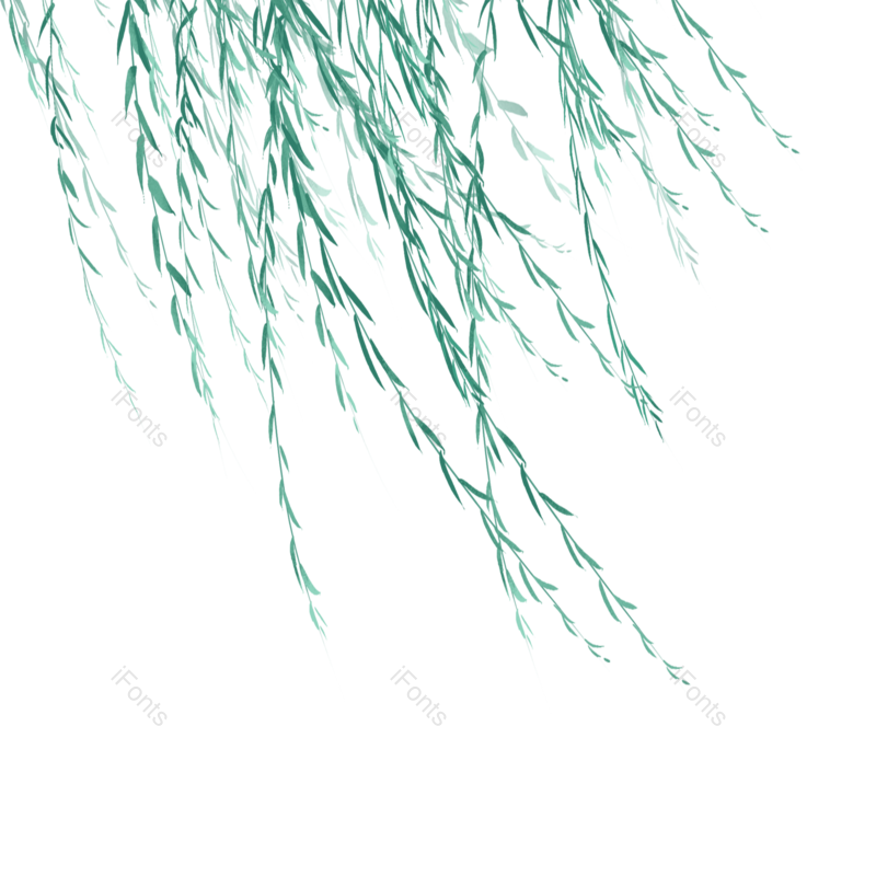 夏天图片,树叶元素,树叶插画PNG,春天免抠素材